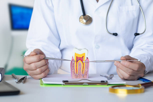 Best Dentist for Tooth Abscess  in Donald, OR